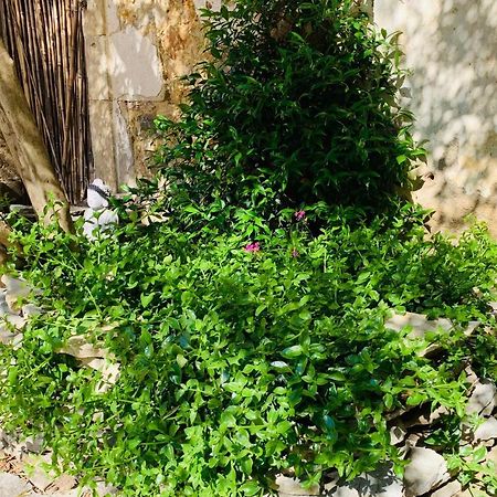 Appartement Avec Jardin Privatif Cazouls-les-Beziers Exterior foto